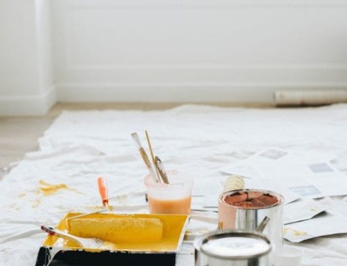How to Choose the Right Paint for Your Project